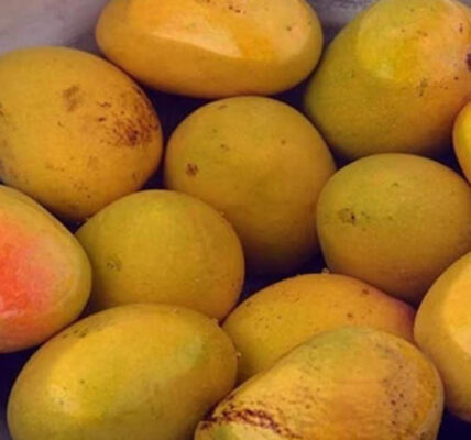 Mangoes are rich in antioxidants.