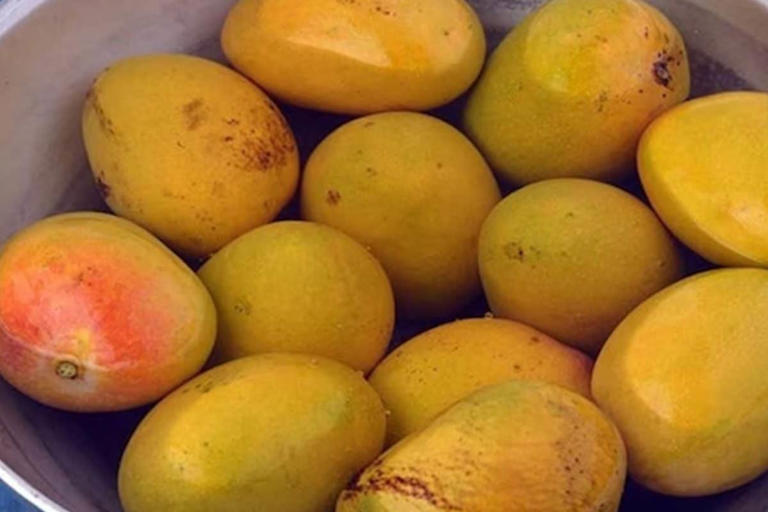 Mangoes are rich in antioxidants.