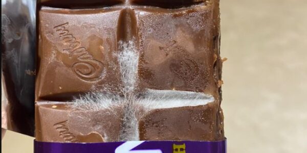 A Hyderabad resident found fungus on Cadbury Dairy Milk chocolate before expiry. (Photo: X/goooofboll)