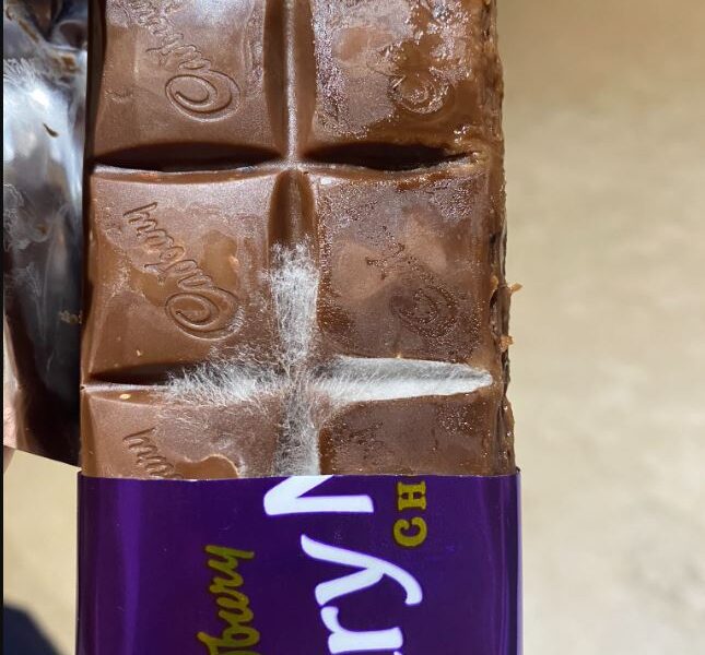 A Hyderabad resident found fungus on Cadbury Dairy Milk chocolate before expiry. (Photo: X/goooofboll)